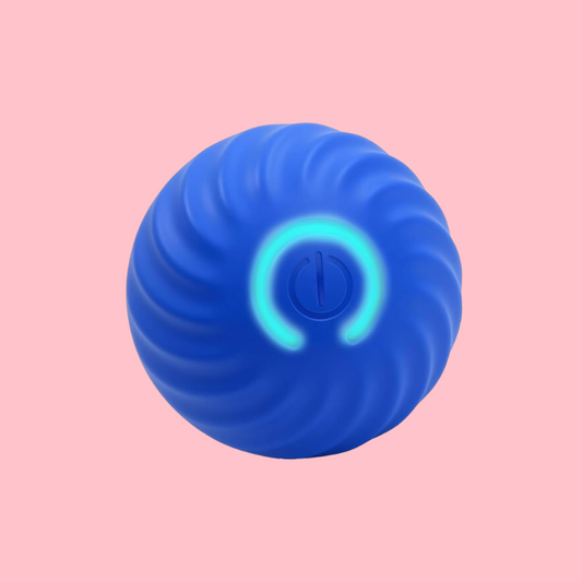 INTELLIGENT BOUNCING BALL